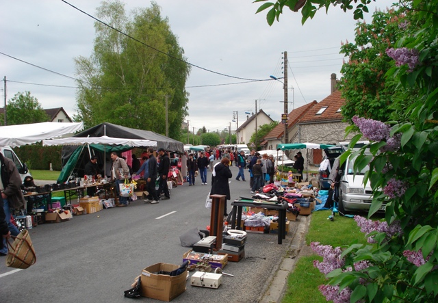 DSC00551